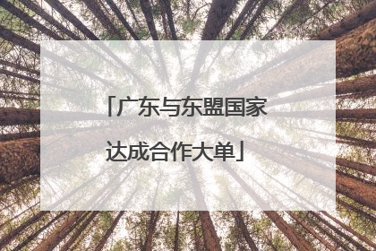 广东与东盟国家达成合作大单