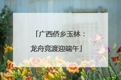 广西侨乡玉林：龙舟竞渡迎端午