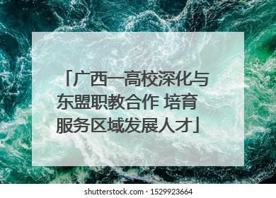 广西一高校深化与东盟职教合作 培育服务区域发展人才
