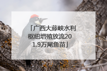 广西大藤峡水利枢纽增殖放流201.9万尾鱼苗