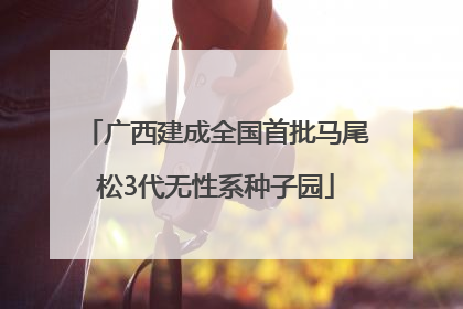 广西建成全国首批马尾松3代无性系种子园