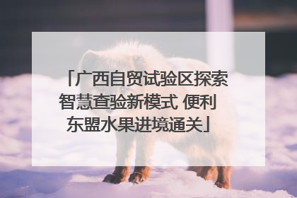 广西自贸试验区探索智慧查验新模式 便利东盟水果进境通关