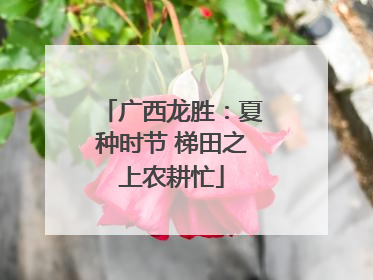 广西龙胜：夏种时节 梯田之上农耕忙
