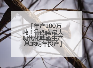 年产100万吨！鲁西南最大现代化啤酒生产基地明年投产