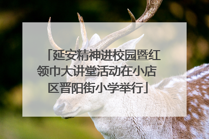 延安精神进校园暨红领巾大讲堂活动在小店区晋阳街小学举行