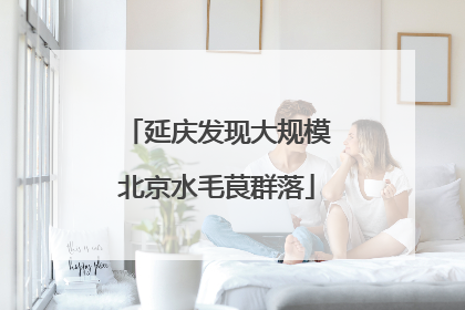 延庆发现大规模北京水毛茛群落