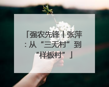 强农先锋丨张萍：从“三无村”到“样板村”