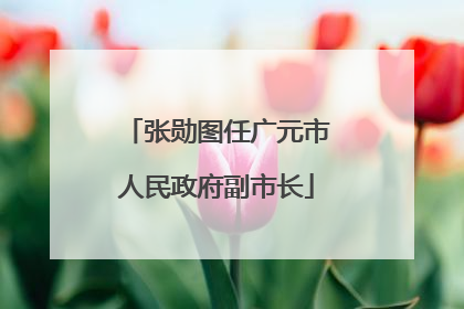 张勋图任广元市人民政府副市长