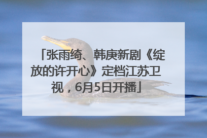 张雨绮、韩庚新剧《绽放的许开心》定档江苏卫视，6月5日开播