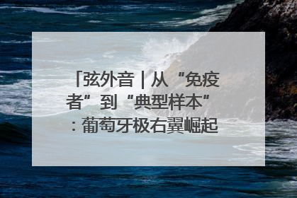 弦外音｜从“免疫者”到“典型样本”：葡萄牙极右翼崛起背后的欧洲困局