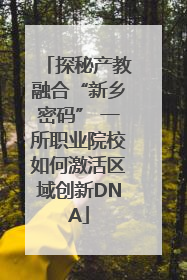 探秘产教融合“新乡密码” 一所职业院校如何激活区域创新DNA
