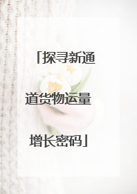 探寻新通道货物运量增长密码