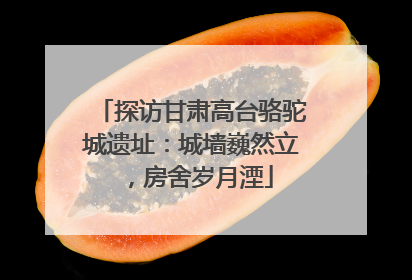 探访甘肃高台骆驼城遗址：城墙巍然立，房舍岁月湮