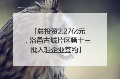 总投资2.27亿元，洛邑古城片区第十三批入驻企业签约