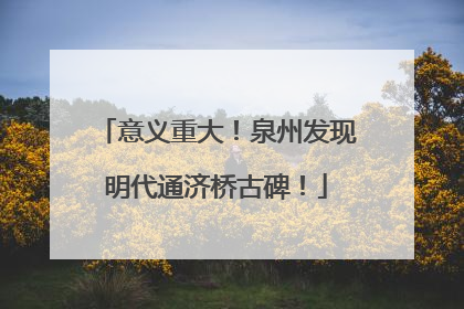 意义重大！泉州发现明代通济桥古碑！
