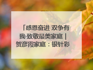 感恩奋进 双争有我·致敬最美家庭｜贺彦霞家庭：银针彩线绣出好日子