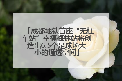 成都地铁首座“无柱车站”幸福梅林站将创造出6.5个足球场大小的通透空间