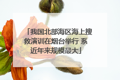我国北部海区海上搜救演训在烟台举行 系近年来规模最大