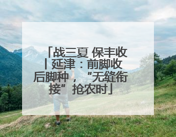 战三夏 保丰收丨延津：前脚收 后脚种，“无缝衔接”抢农时