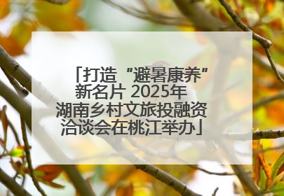 打造“避暑康养”新名片 2025年湖南乡村文旅投融资洽谈会在桃江举办