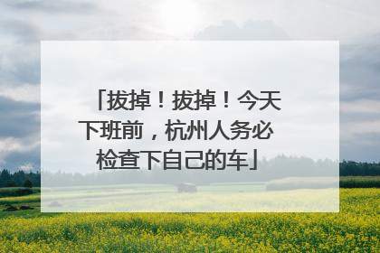 拔掉！拔掉！今天下班前，杭州人务必检查下自己的车