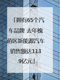 拥有65个汽车品牌 去年槐荫区新能源汽车销售额达113.9亿元