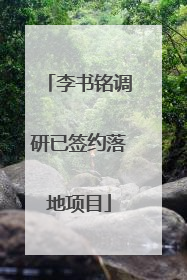 李书铭调研已签约落地项目