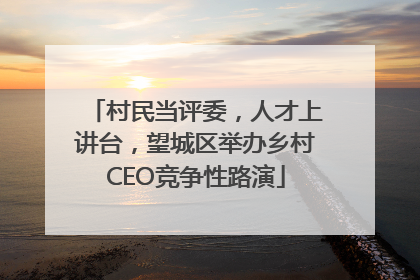 村民当评委，人才上讲台，望城区举办乡村CEO竞争性路演
