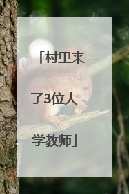 村里来了3位大学教师