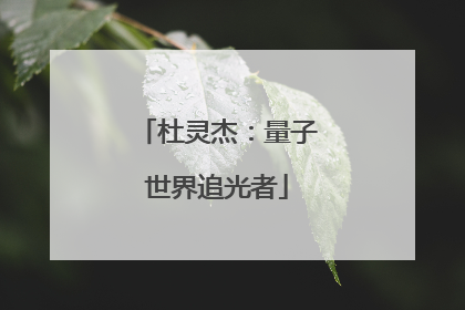 杜灵杰：量子世界追光者