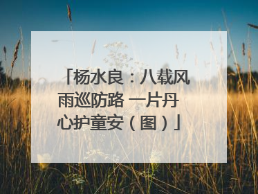 杨水良：八载风雨巡防路 一片丹心护童安（图）
