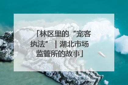 林区里的“宠客执法”｜湖北市场监管所的故事