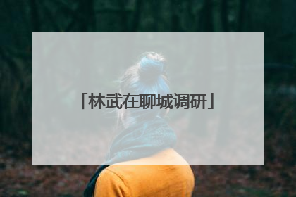林武在聊城调研