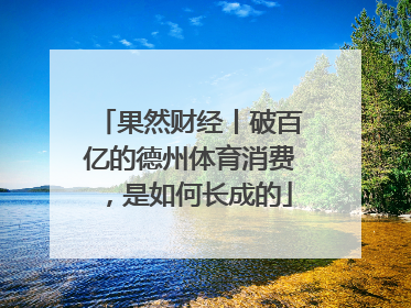 果然财经丨破百亿的德州体育消费，是如何长成的