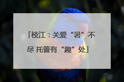 枝江：关爱“暑”不尽 托管有“趣”处