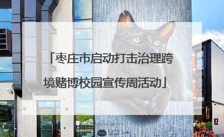枣庄市启动打击治理跨境赌博校园宣传周活动