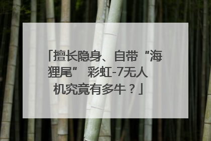 擅长隐身、自带“海狸尾” 彩虹-7无人机究竟有多牛？