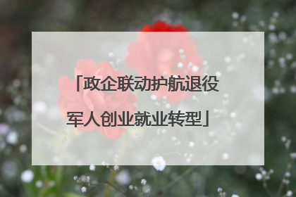政企联动护航退役军人创业就业转型