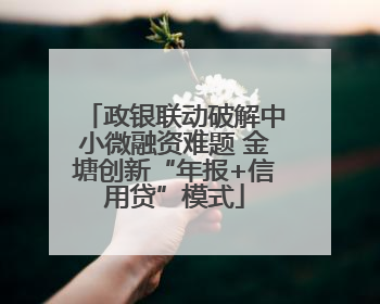政银联动破解中小微融资难题 金塘创新“年报+信用贷”模式