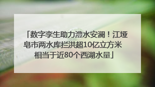 数字孪生助力澧水安澜！江垭皂市两水库拦洪超10亿立方米 相当于近80个西湖水量