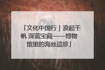 文化中国行｜浪起千帆 深蓝宝藏——博物馆里的海丝遗珍