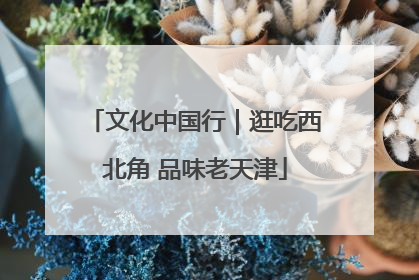 文化中国行｜逛吃西北角 品味老天津