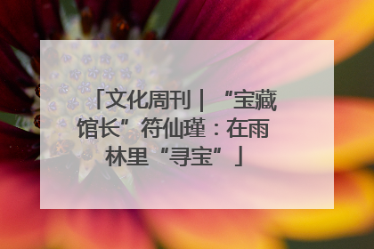 文化周刊｜“宝藏馆长”符仙瑾：在雨林里“寻宝”