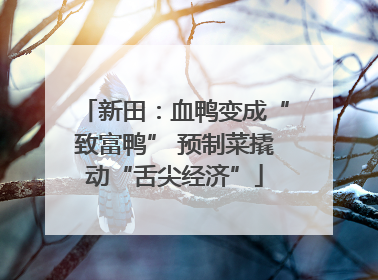 新田：血鸭变成“致富鸭” 预制菜撬动“舌尖经济”