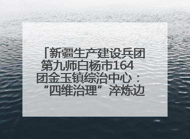 新疆生产建设兵团第九师白杨市164团金玉镇综治中心：“四维治理”淬炼边疆“枫桥样本”