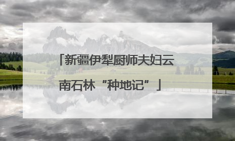新疆伊犁厨师夫妇云南石林“种地记”