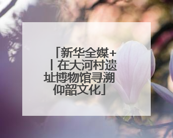 新华全媒+丨在大河村遗址博物馆寻溯仰韶文化