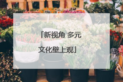 新视角 多元文化壁上观