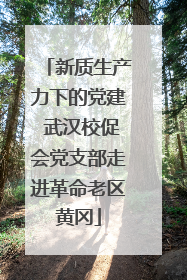 新质生产力下的党建 武汉校促会党支部走进革命老区黄冈