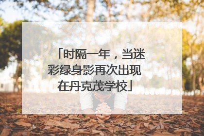 时隔一年，当迷彩绿身影再次出现在丹克茂学校